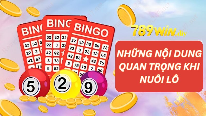 Nội dung quan trọng khi tham gia nuôi lô